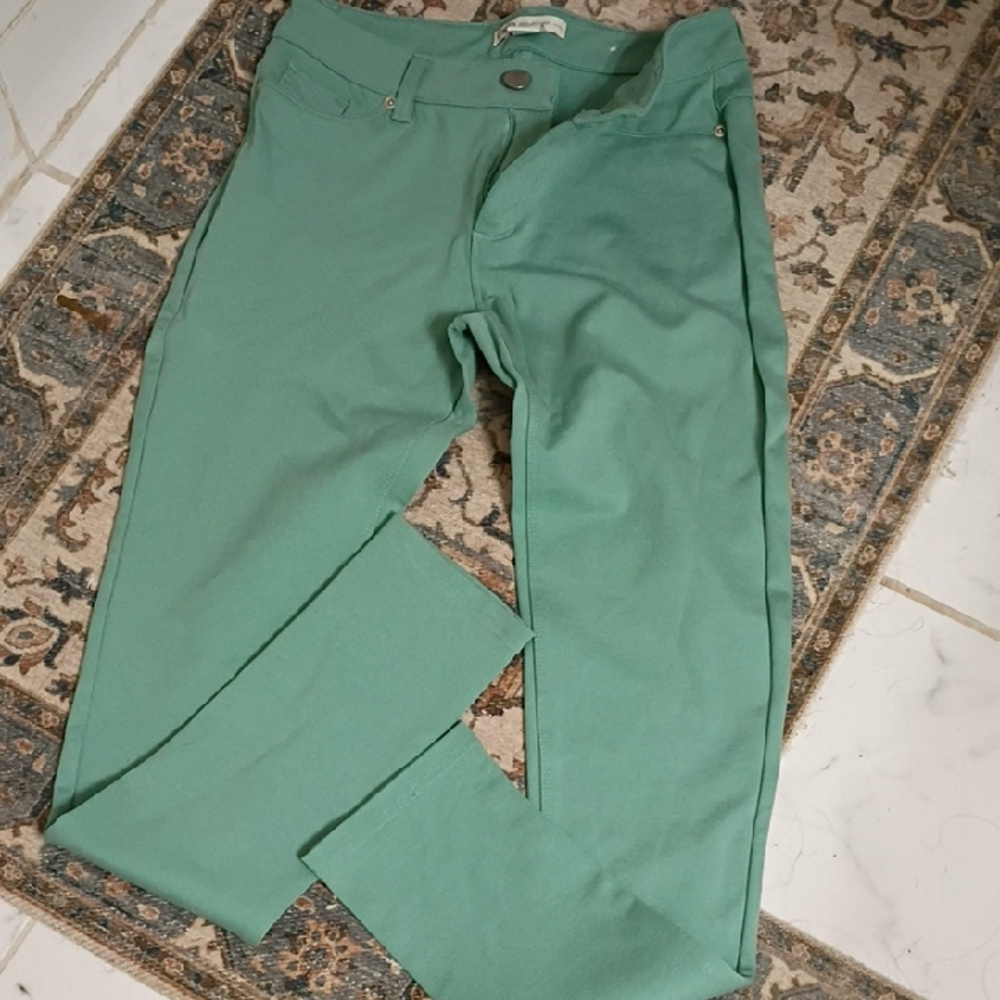 Cato Mint Green Pants Sz 4 Beautiful Green